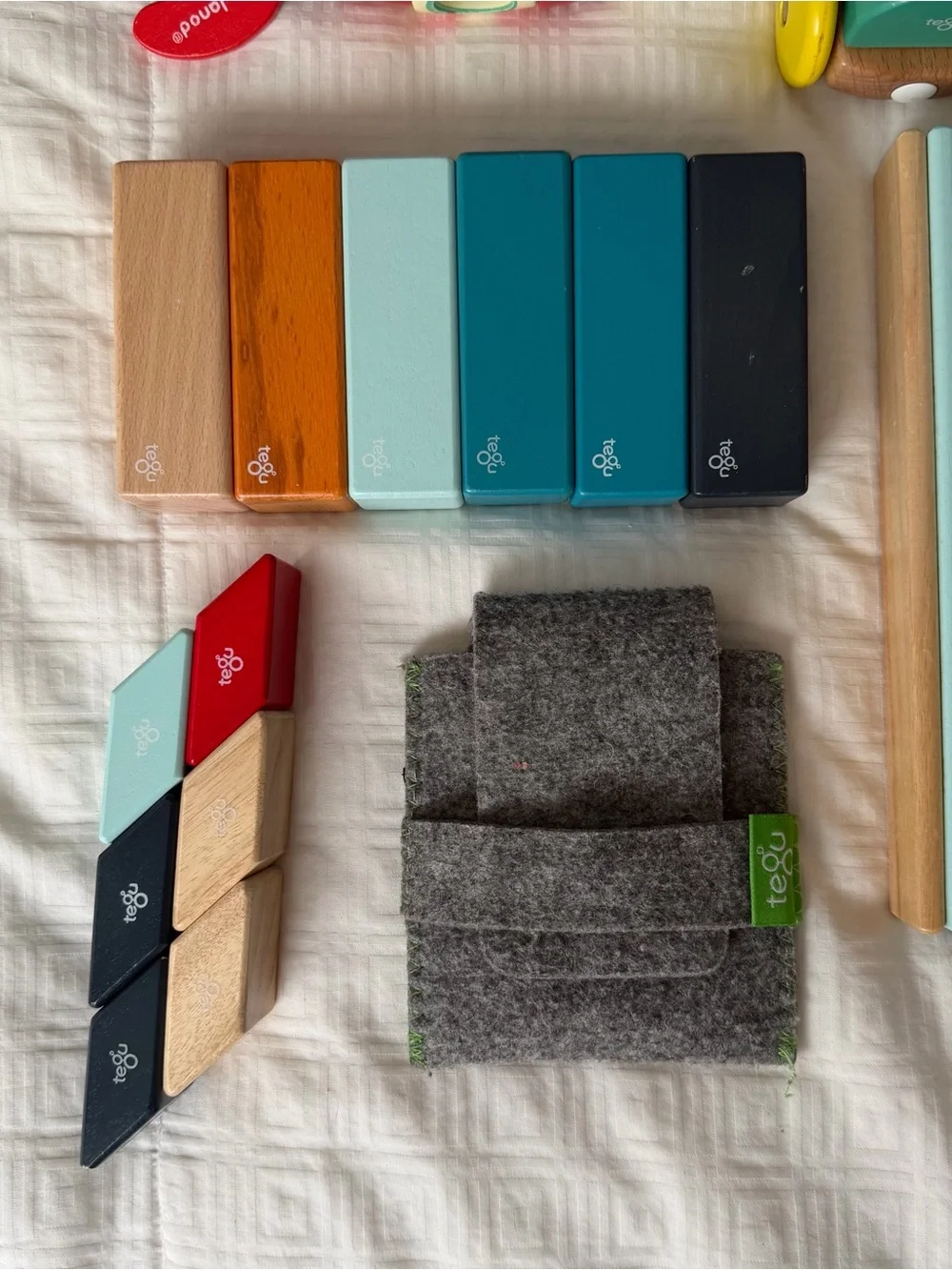 Tegu wooden magnet